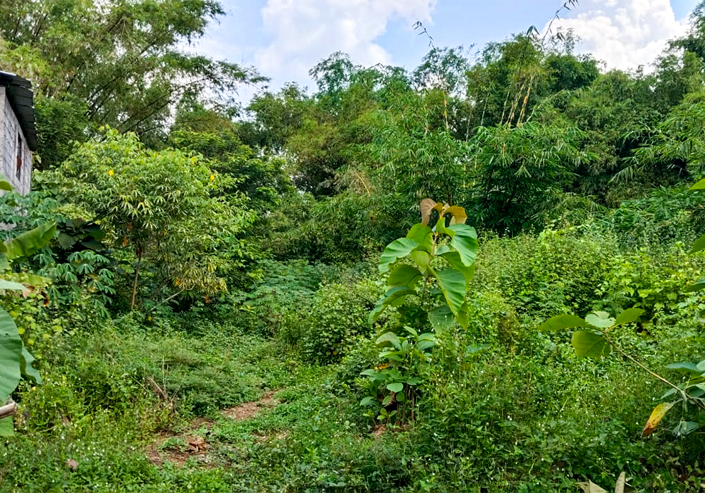 TANAH DI KAB. SUKOHARJO - WOFF346-1 di Sukoharjo, Jawa Tengah - J Trust Investments Indonesia
